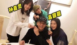 娱记狗仔爆料视频大全集,视频大全集幕后故事大公开